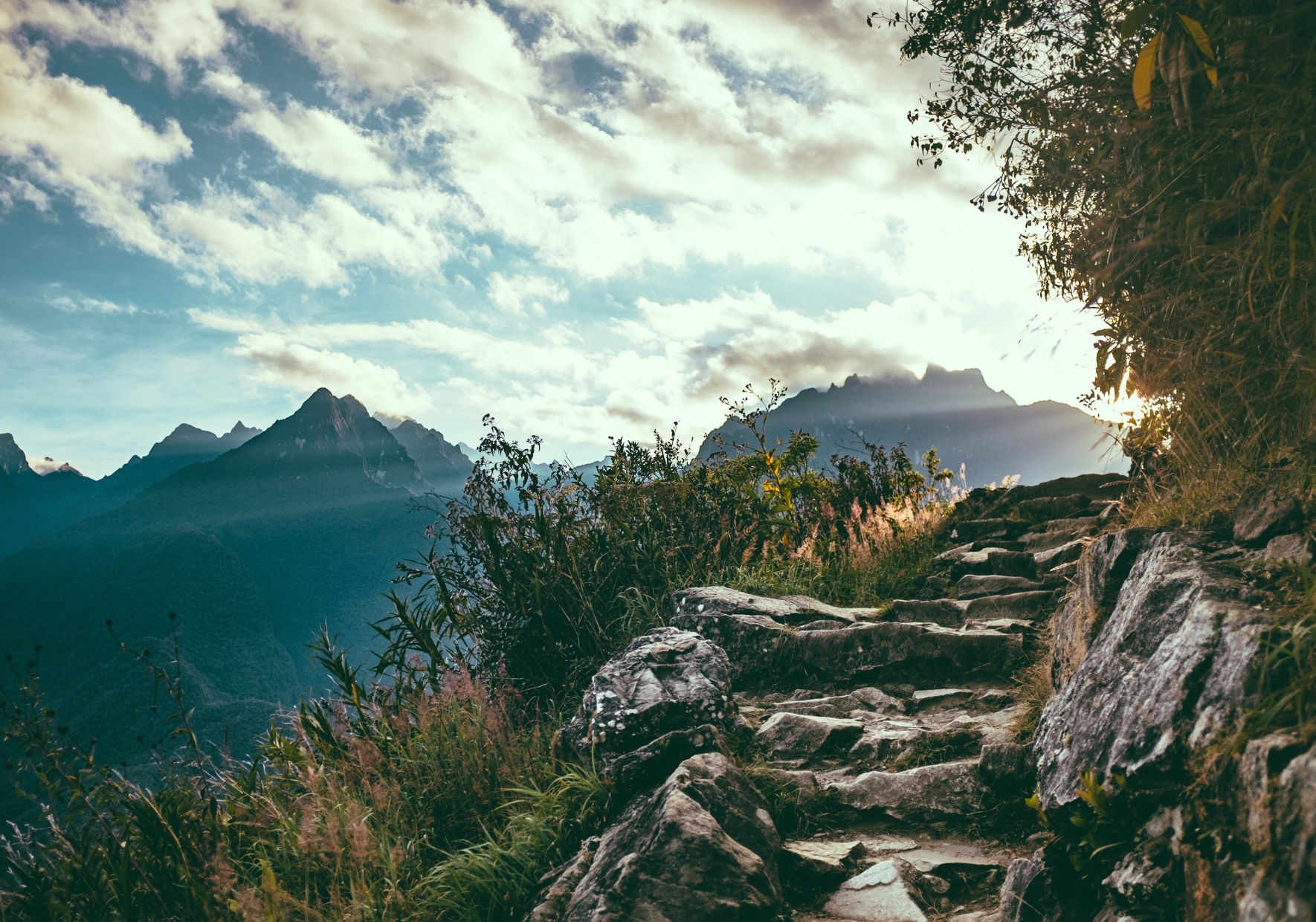 Trail parcours