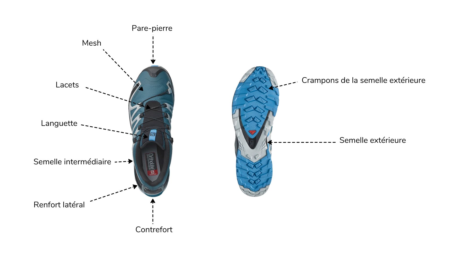 Anatomie chaussure de trail