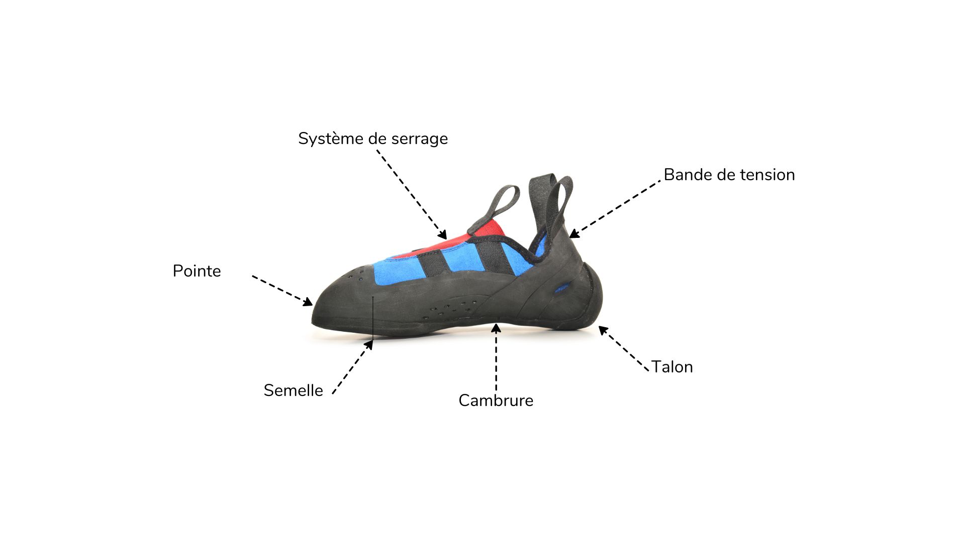 Anatomie chaussures d'escalade