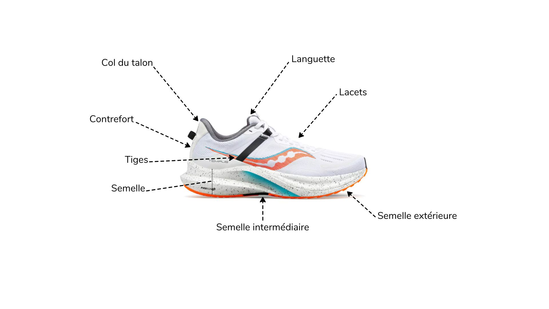 Anatomie chaussure course à pied