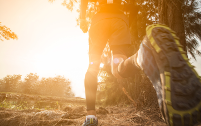 Les meilleurs trails de France en 2026 : le guide complet