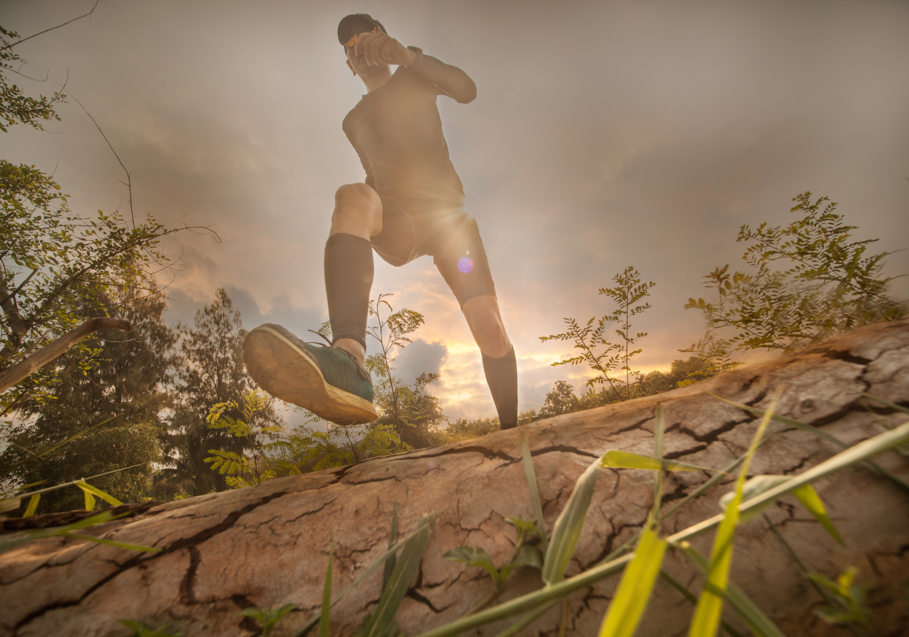 Trail
