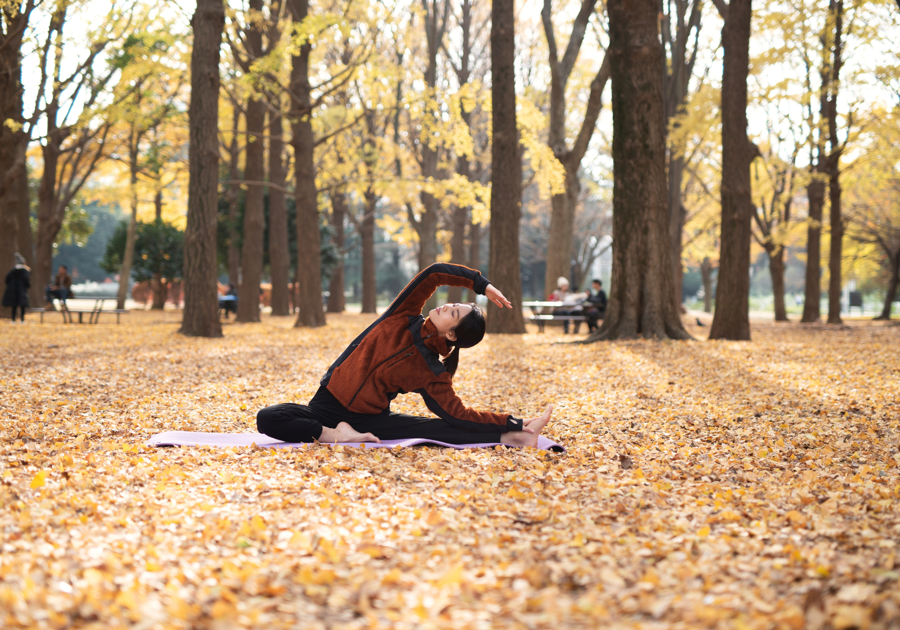 Yoga foret